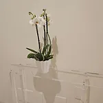 Apartamento Casa Ciseri