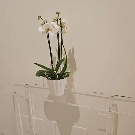 Apartamento Casa Ciseri